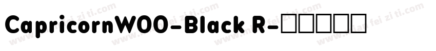 CapricornW00-Black R字体转换